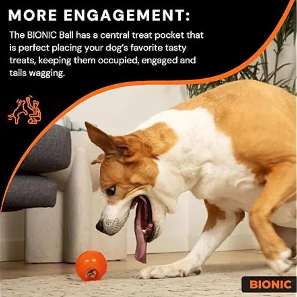 Bionic by Outward Hound Tough Dog‎ Ball | 2-Pack | Size Medium | NWT